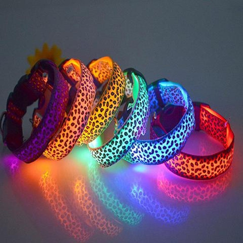 LED Hunde Halsband Leuchthalsband orange gelb blau grün lila weiß