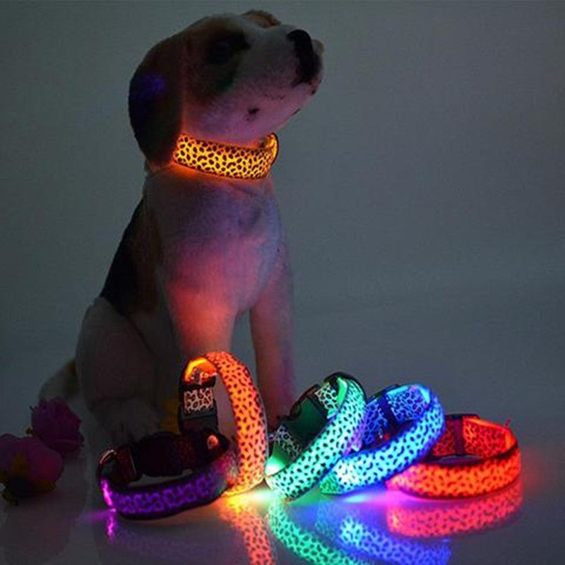 LED Hunde Halsband Leuchthalsband orange gelb blau grün lila weiß